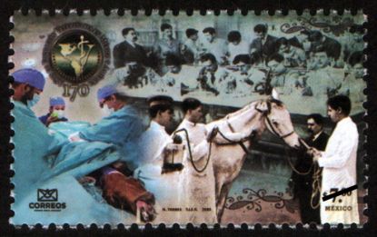 Imagen de Timbre postal: 170 Años de Educación Veterinaria en México y América