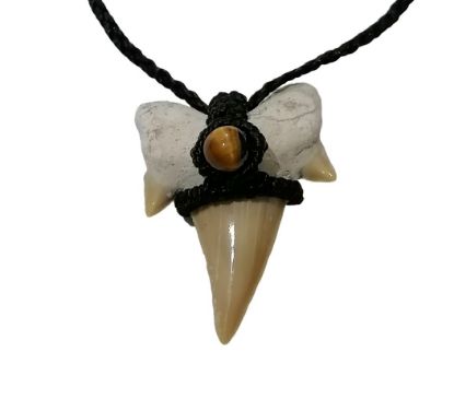 Imagen de Diente fósil de tiburón, collar.