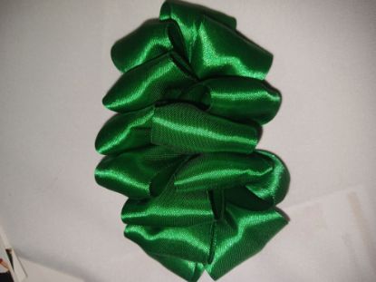 Imagen de Moño Tabasqueño niña