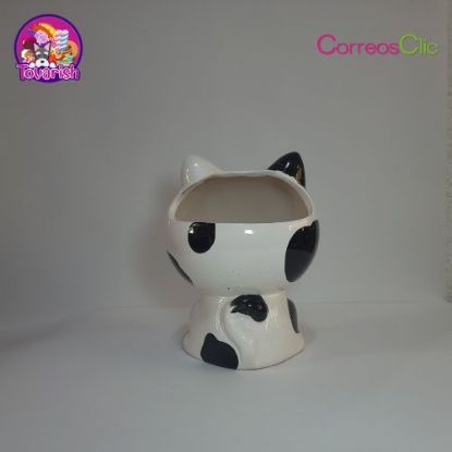 Imagen de MACETA DE GATO