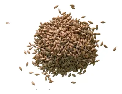 Imagen de Malta De Cebada Premium 2 Hileras Para Cerveza Artesanal