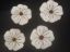 Imagen de Porta vasos flor blanca 