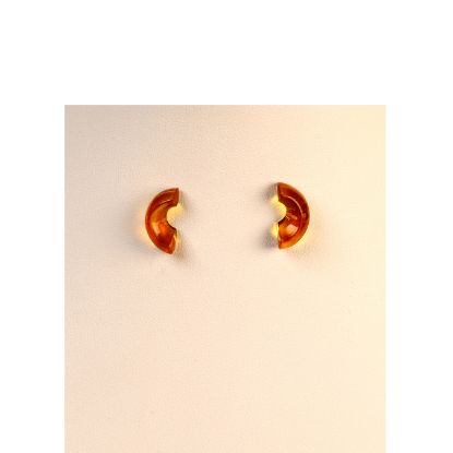 Imagen de Par de aretes broquel 