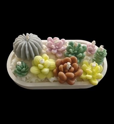 Imagen de Terrario elaborado en cera