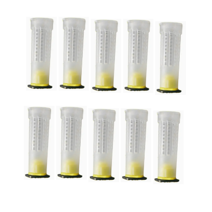 Imagen de Protector de reina 10 pz