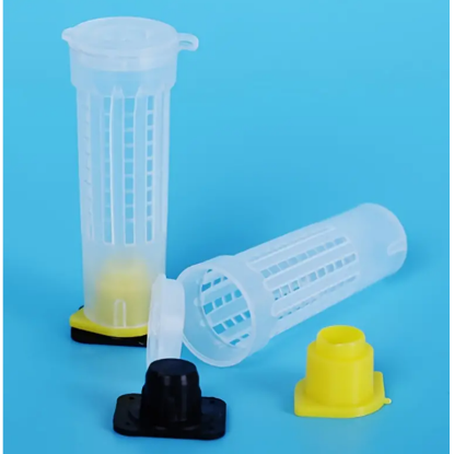 Imagen de Protector de reina 10 pz