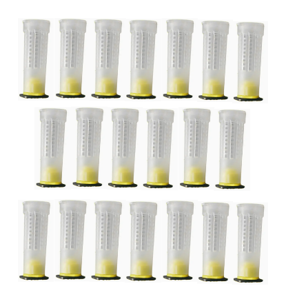 Imagen de Protector de reina 20 pz