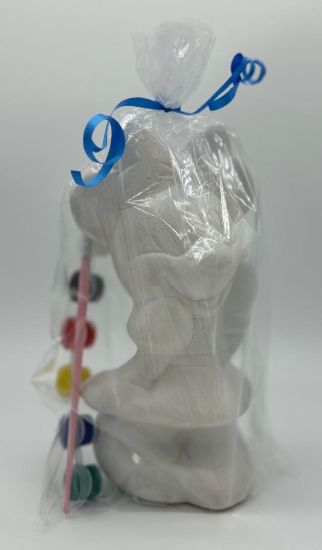 Imagen de KIT DE ALCANCIA  PARA PINTAR (Varias figuras)