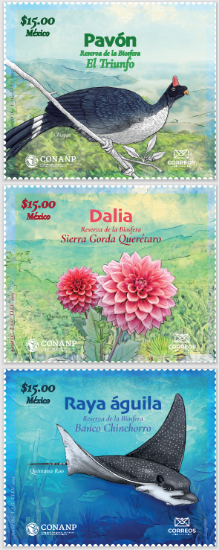 Imagen de Timbre Postal "25 años de la Comisión Nacional de Áreas Naturales Protegidas (CONANP)"