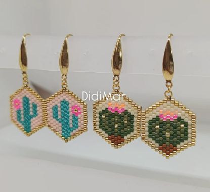 Imagen de ARETES HEXA CACTUS
