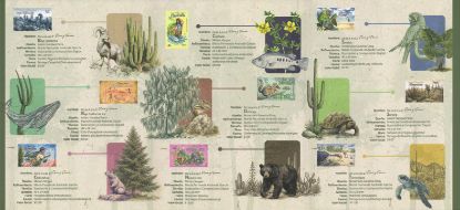 Imagen de Tríptico "De la A a la Z Flora y Fauna de México"
