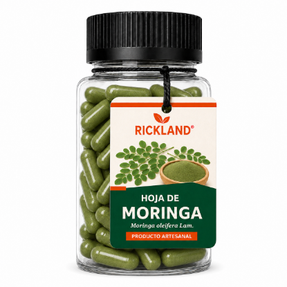 Imagen de HOJA DE MORINGA – 90 CÁPSULAS