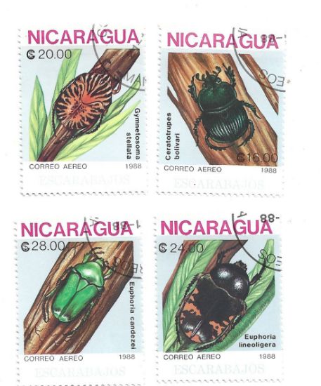 Imagen de ESTAMPILLAS USADAS DE NICARAGUA 1988 SERIE ESCARABAJOS FAUNA